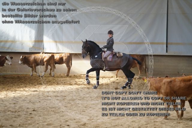 s_K3F02310.JPG